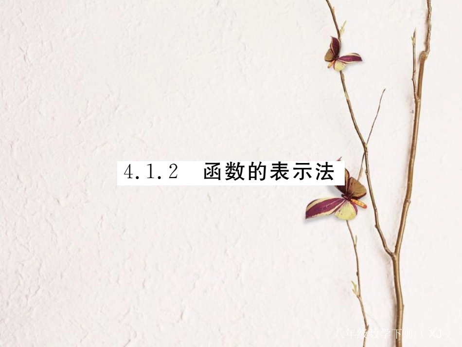 八年级数学下册 第四章 一次函数 4.1 函数和它的表示法 4.1.2 函数的表示法导学课件 （新版）湘教版(1)_第1页