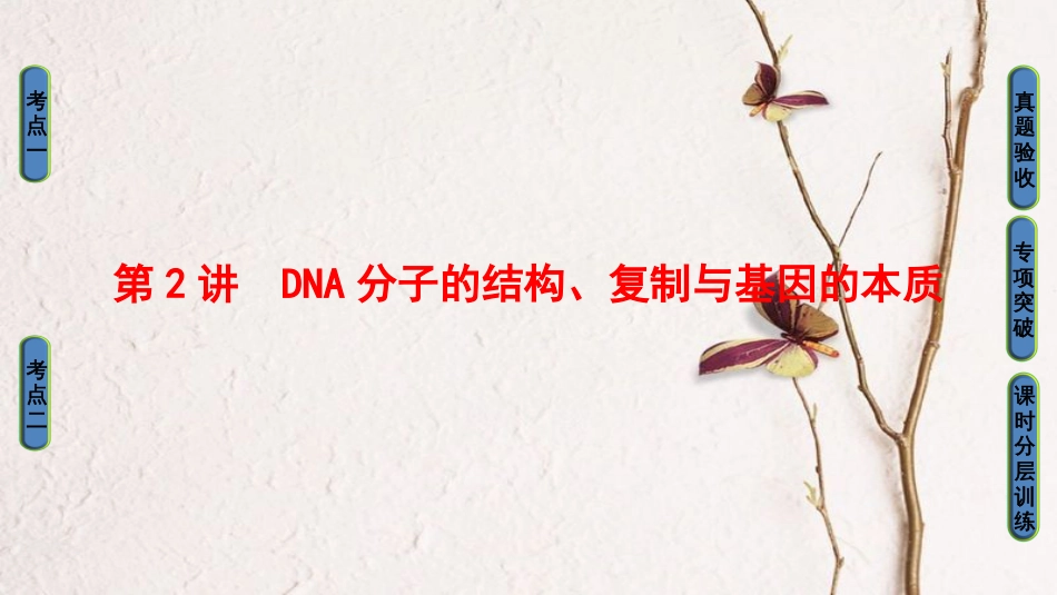 高三生物一轮复习 第6单元 第2讲 DNA分子的结构复制与基因的本质课件 新人教版必修2_第1页