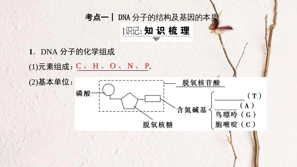 高三生物一轮复习 第6单元 第2讲 DNA分子的结构复制与基因的本质课件 新人教版必修2_第2页