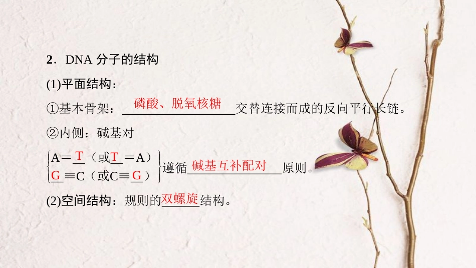 高三生物一轮复习 第6单元 第2讲 DNA分子的结构复制与基因的本质课件 新人教版必修2_第3页
