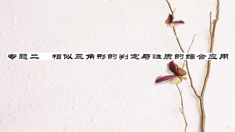 九年级数学下册 期末专题复习 专题二 相似三角形的判定与性质的综合应用作业课件 （新版）华东师大版_第1页