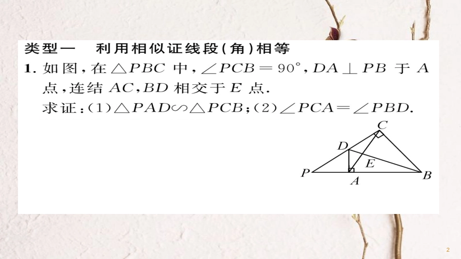 九年级数学下册 期末专题复习 专题二 相似三角形的判定与性质的综合应用作业课件 （新版）华东师大版_第2页
