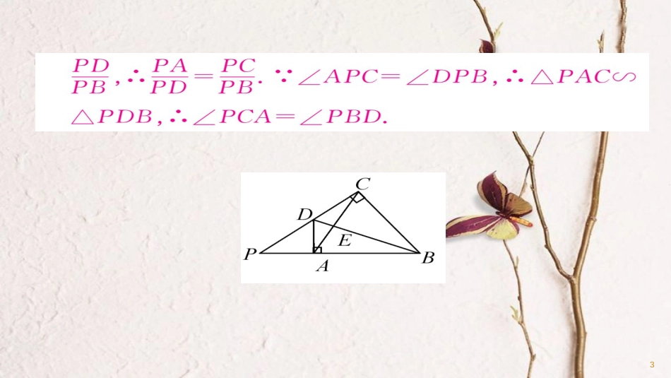 九年级数学下册 期末专题复习 专题二 相似三角形的判定与性质的综合应用作业课件 （新版）华东师大版_第3页