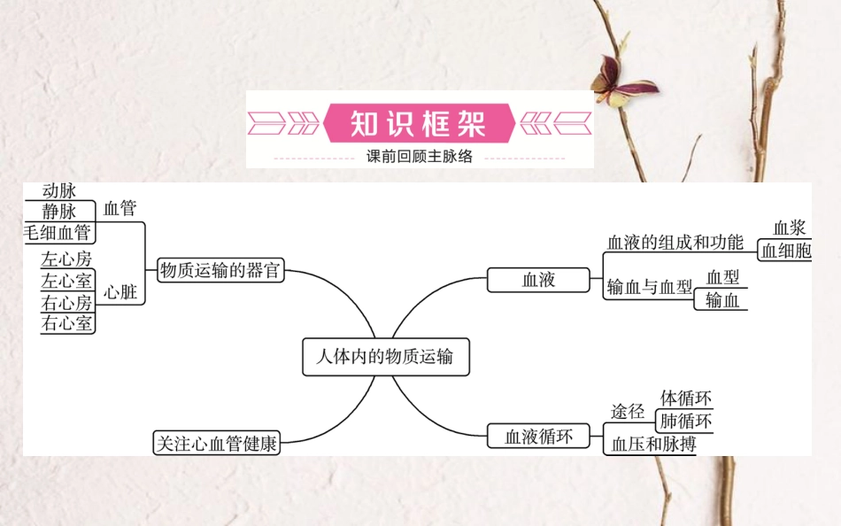 山东省济南市中考生物 第三单元 生物圈中的人 第三章 人体内的物质运输课件(1)_第2页