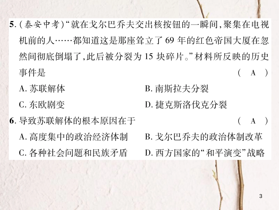 九年级历史下册 第五、六单元 达标测试卷作业课件 新人教版(1)_第3页