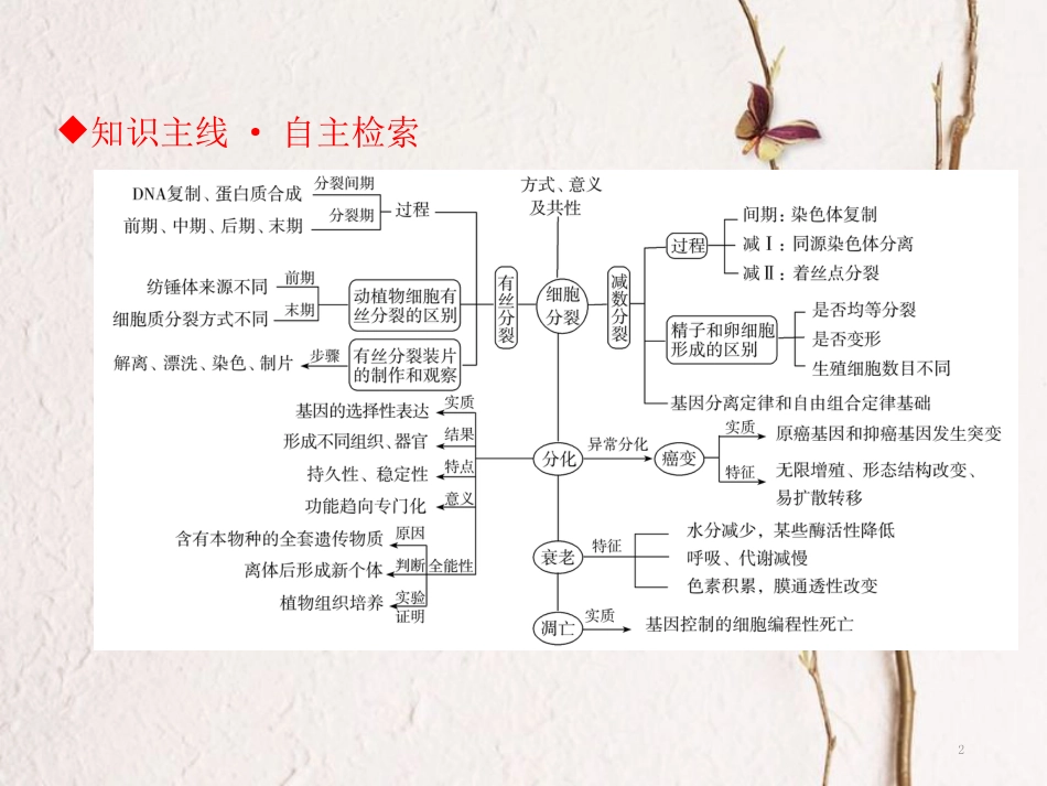 高考生物二轮复习 第一单元 生命系统的细胞基础 专题三 细胞的生命历程（含减数分裂）课件_第2页