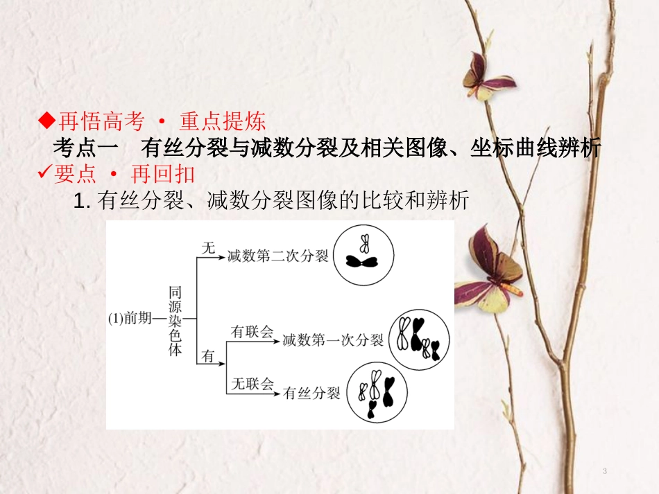 高考生物二轮复习 第一单元 生命系统的细胞基础 专题三 细胞的生命历程（含减数分裂）课件_第3页