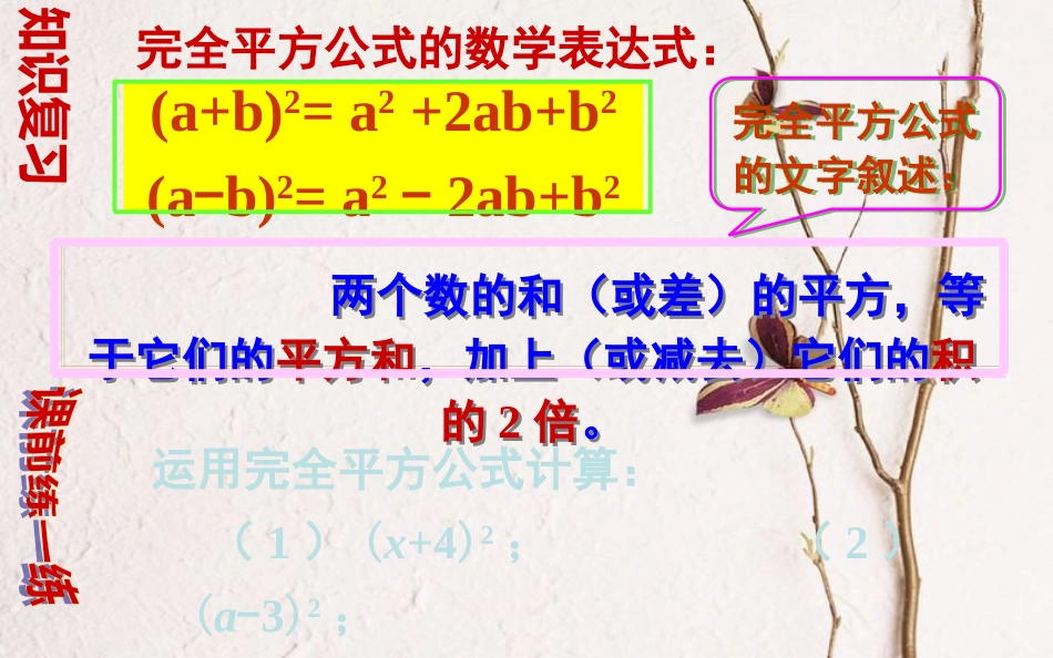 山东省东营市垦利区郝家镇七年级数学下册 2.2.2 完全平方公式(2)课件 （新版）湘教版(1)_第2页