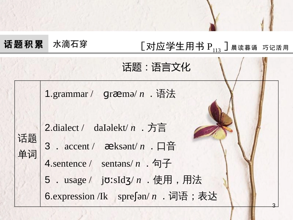 高考英语大一轮复习 第1部分 模块考点复习 Unit 19 Language课件 北师大版选修7_第3页
