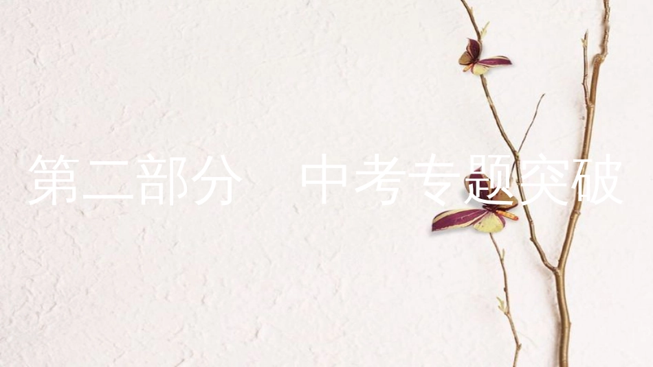 安徽省中考化学复习 第二部分 中考专题突破 专题一 选择题必考点分类突破课件(1)_第1页
