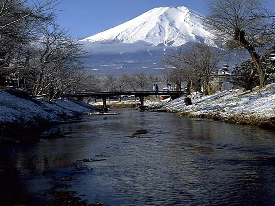九年级语文下册 第一单元 1 诗两首 我爱这土地课件 （新版）新人教版_第1页