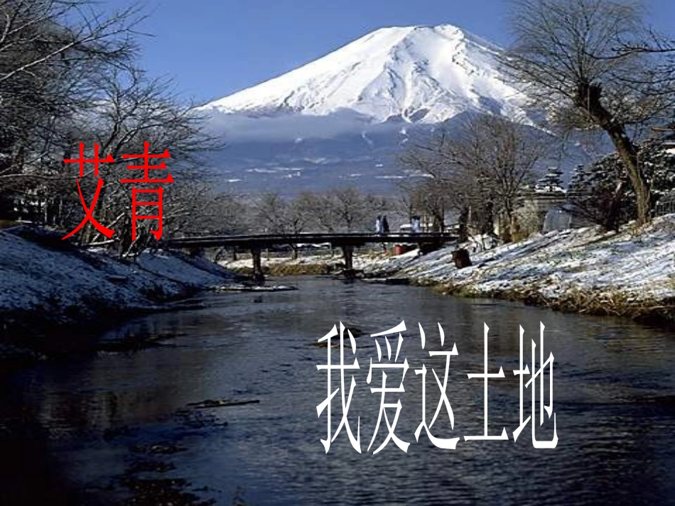 九年级语文下册 第一单元 1 诗两首 我爱这土地课件 （新版）新人教版_第2页