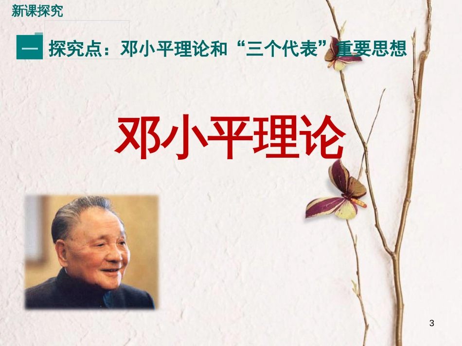 八年级历史下册 第五单元 实现中华民族伟大复兴 第19课 中国特色社会主义理论体系教学课件 岳麓版_第3页