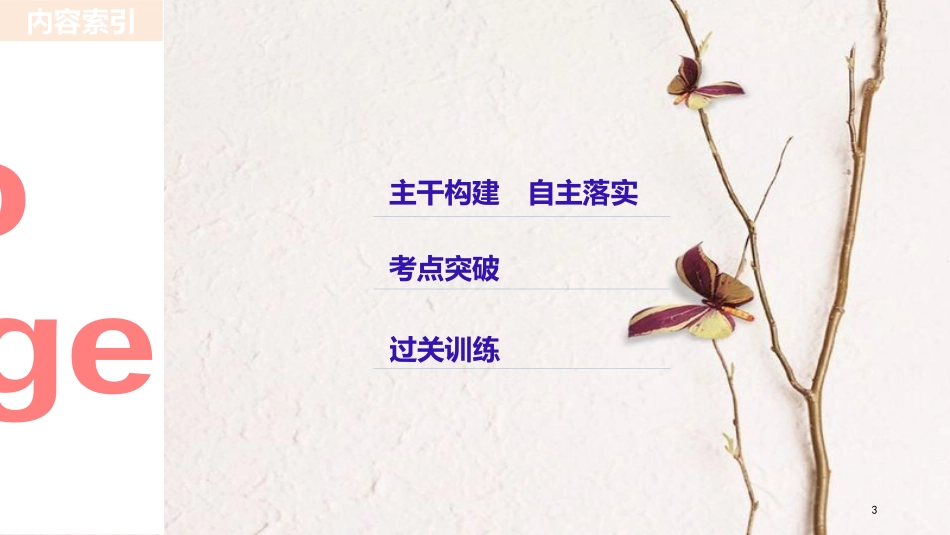 2019届高考政治一轮复习 专题一 古典经济学巨匠的理论遗产课件 新人教版选修2_第3页