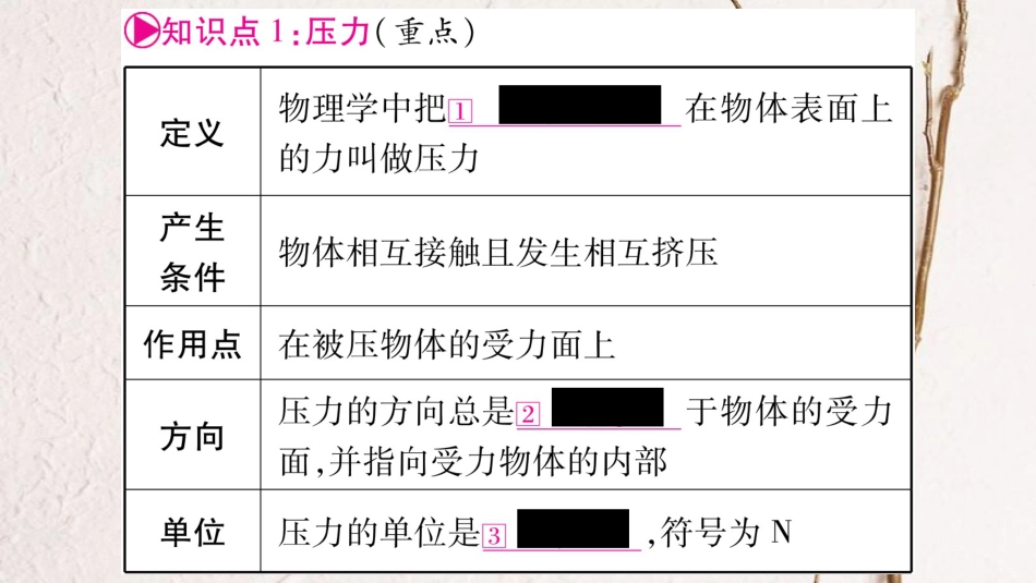 中考物理一轮复习 第9讲 压强 第1课时课件 新人教版_第2页
