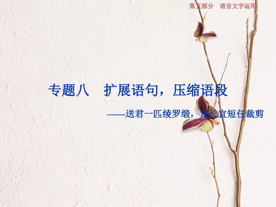 2019高考语文一轮总复习 第五部分 语言文字运用 9 专题八 扩展语句，压缩语段课件_第1页