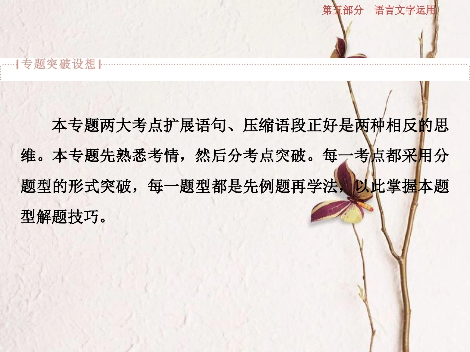 2019高考语文一轮总复习 第五部分 语言文字运用 9 专题八 扩展语句，压缩语段课件_第2页