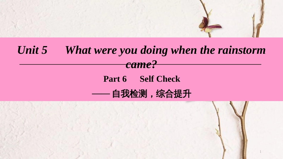 八年级英语下册 Unit 5 What were you doing when the rainstorm came Part 6 Self Check课件 （新版）人教新目标版_第1页