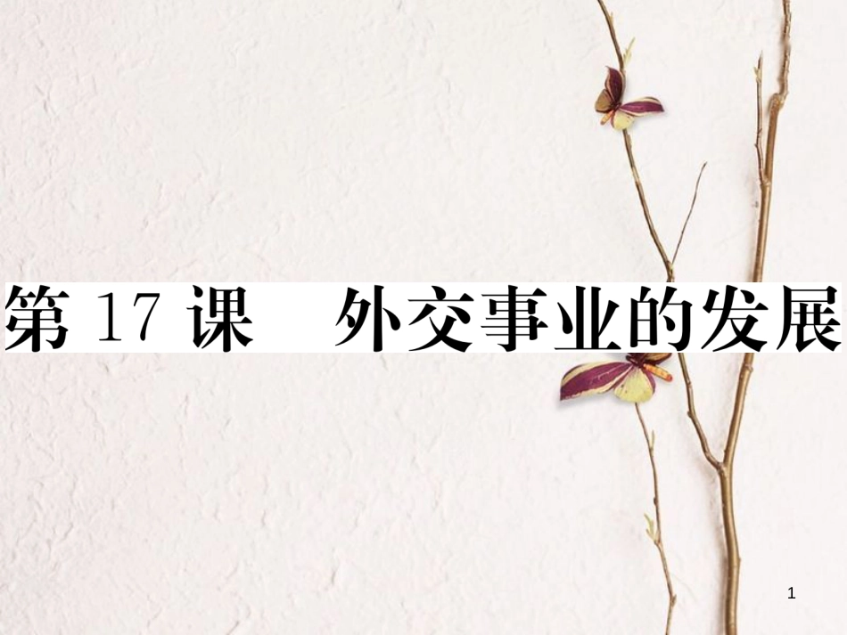 八年级历史下册 第五单元 国防建设与建设成就 第17课 外交事业的发展练习课件 新人教版_第1页