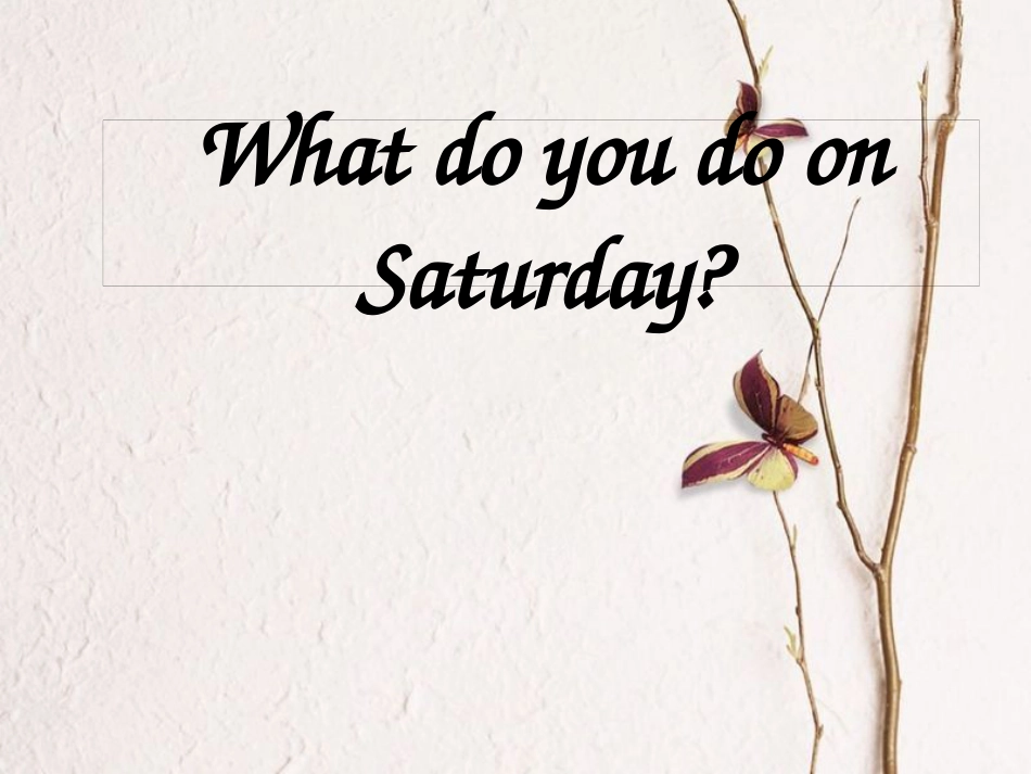 四年级英语下册 Unit 4 What do you do on Saturday课件 陕旅版_第1页
