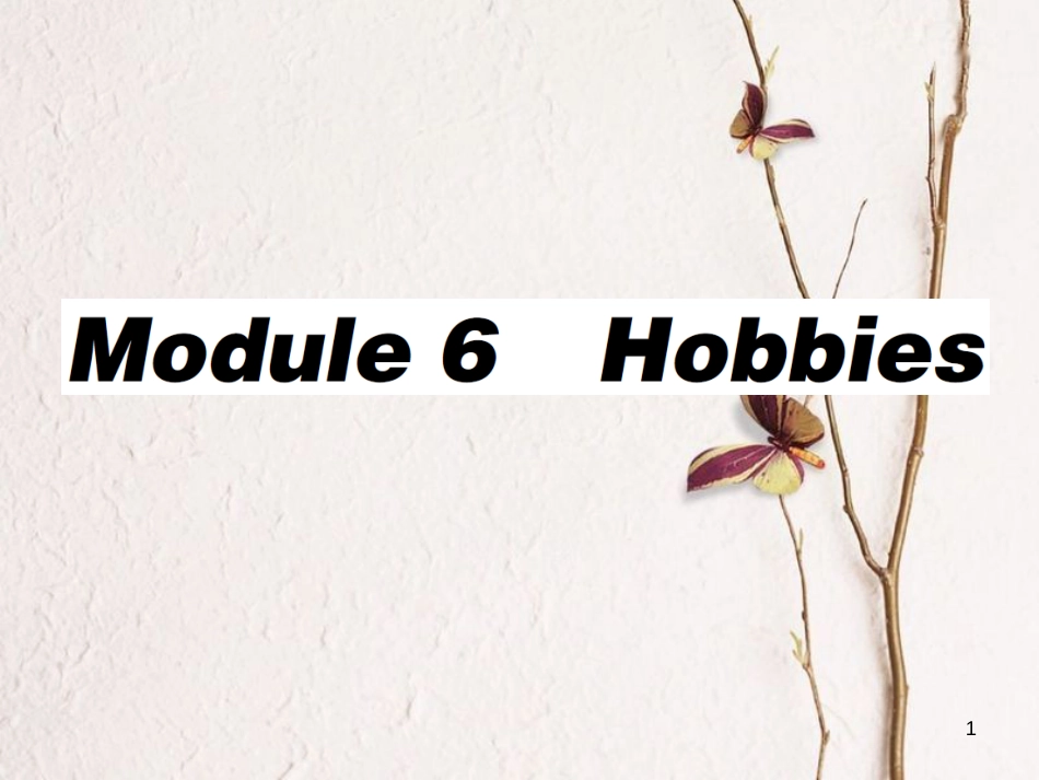 八年级英语下册 Module 6 Hobbies Unit 1 Do you collect anything习题课件 （新版）外研版_第1页