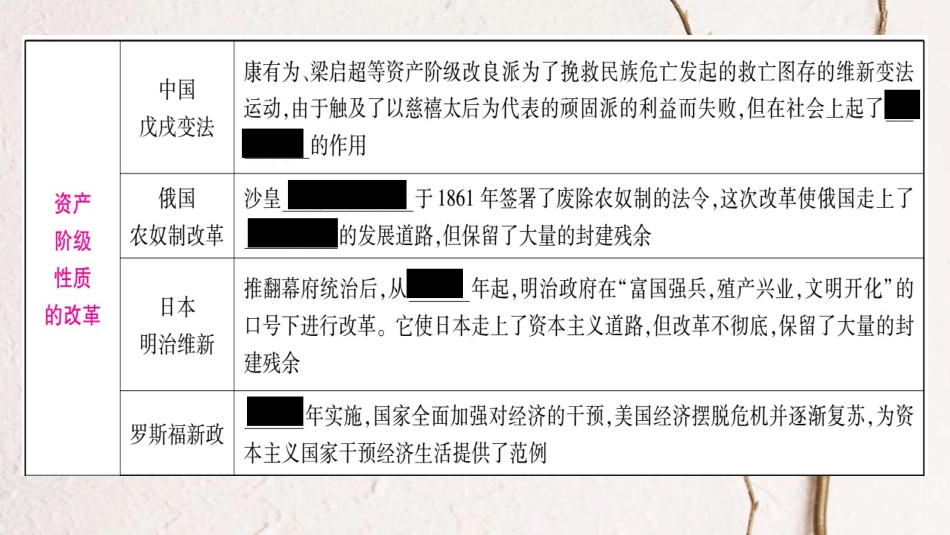 四川省达州市中考历史复习 第二篇 知能综合提升 专题5 近现代中外历史上的改革课件(1)_第3页