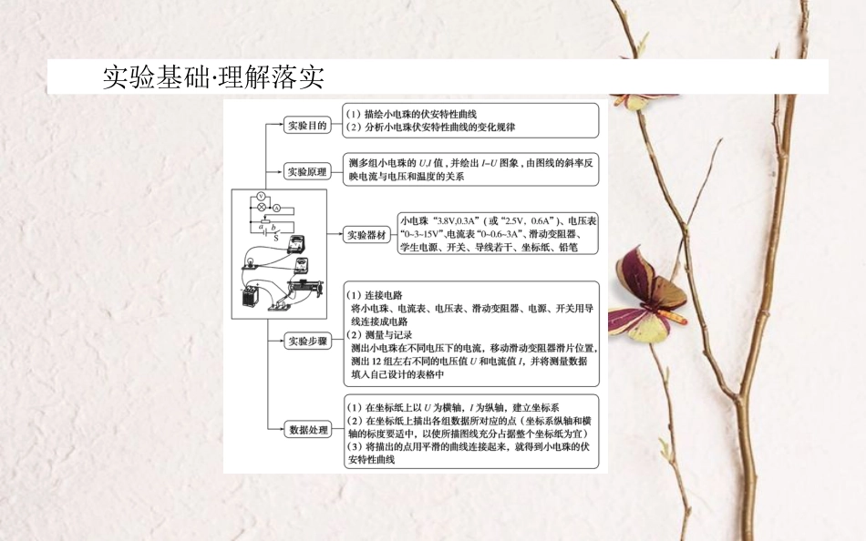 2019届高考物理一轮复习 第八章 恒定电流 实验九课件_第2页