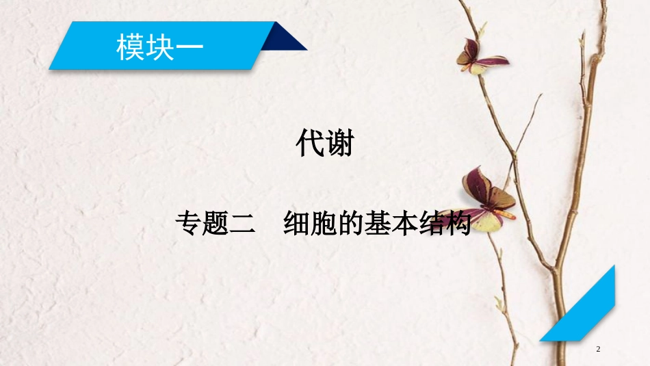 高考生物大二轮复习 专题二 细胞的基本结构复习指导课件(1)_第2页