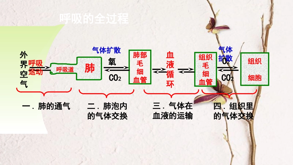 七年级生物下册 4.4.1 流动的组织——血液课件（新版）新人教版_第1页