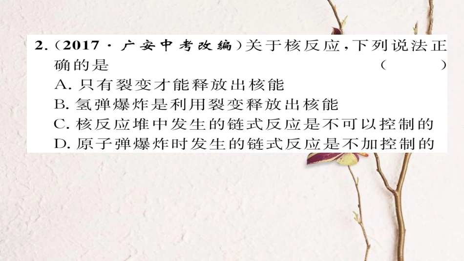 九年级物理全册 双休作业（四）习题课件 （新版）新人教版(1)_第3页