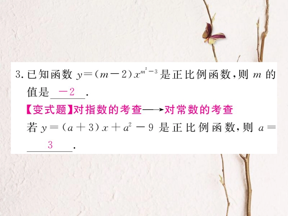 河北省八年级数学下册 19.2 一次函数 19.2.1 正比例函数 第1课时 正比例函数的概念练习课件 （新版）新人教版_第3页