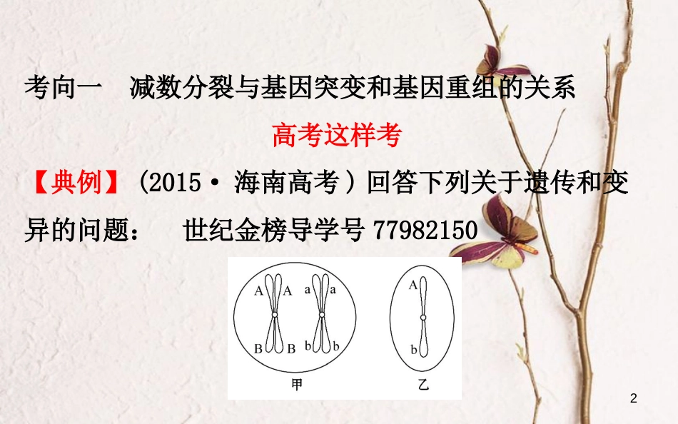 高考生物大一轮复习 高考提分课 减数分裂与可遗传变异的关系课件_第2页