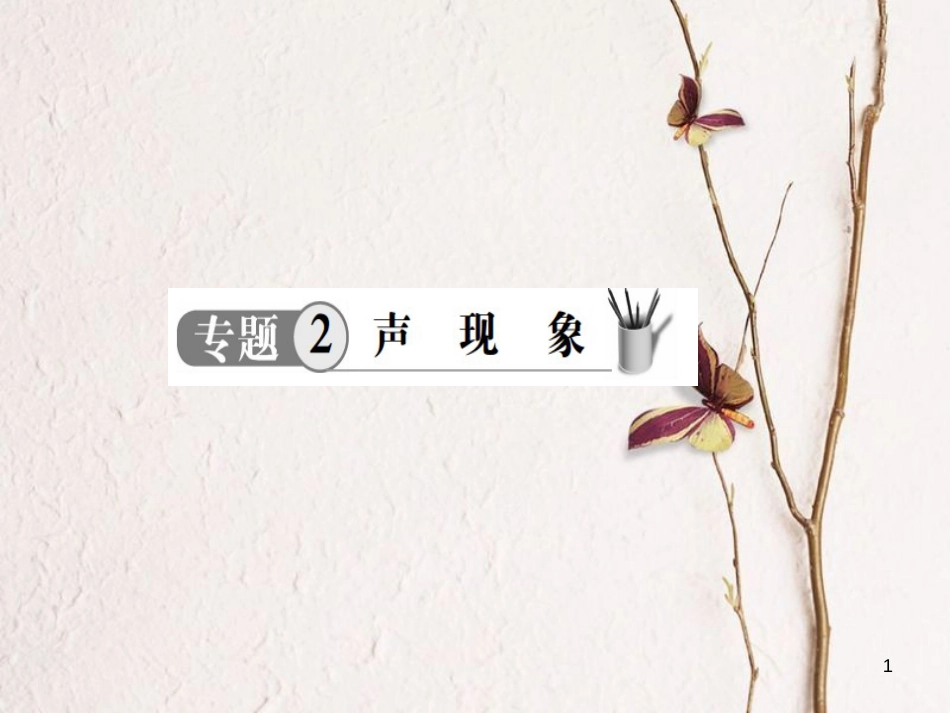 中考物理 专题2 声现象复习课件(1)_第1页