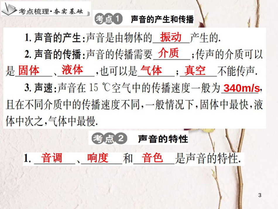 中考物理 专题2 声现象复习课件(1)_第3页