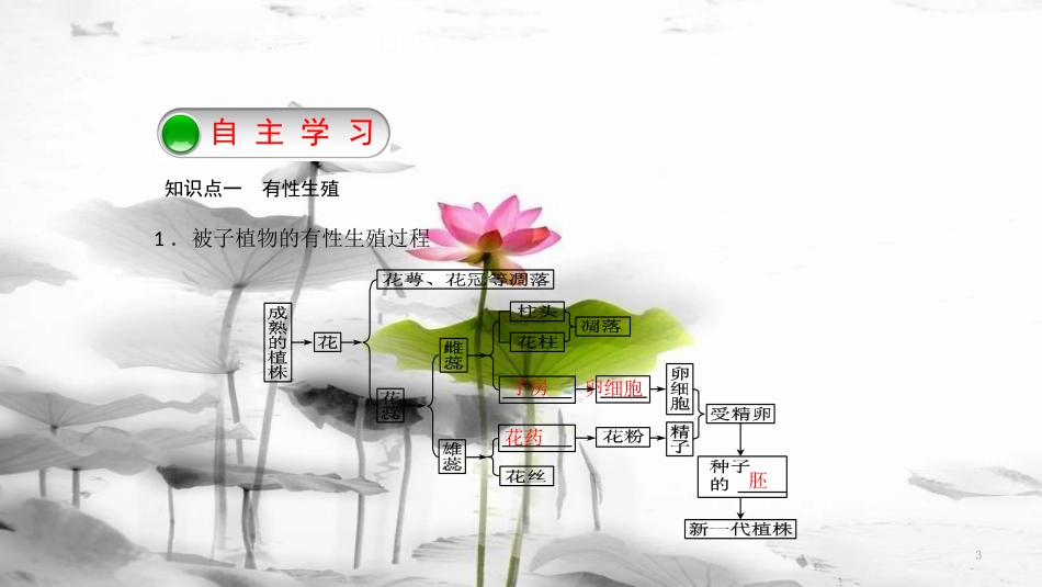 八年级生物下册 7.1.1植物的生殖课件 （新版）新人教版[共14页]_第3页