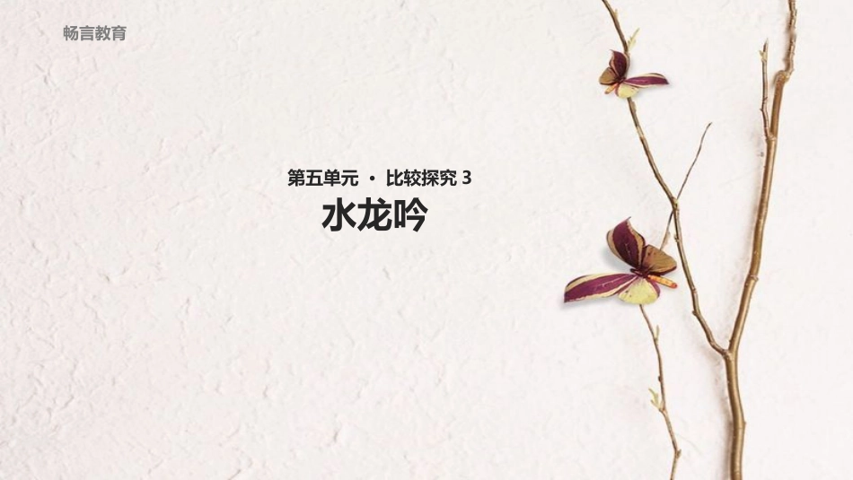 八年级语文下册 第五单元 比较探究《水龙吟》教学课件 北师大版_第1页