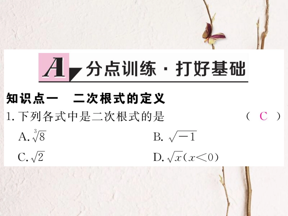 贵州省春八年级数学下册 16.1 二次根式 第1课时 二次根式的概念作业课件 （新版）新人教版(1)_第2页