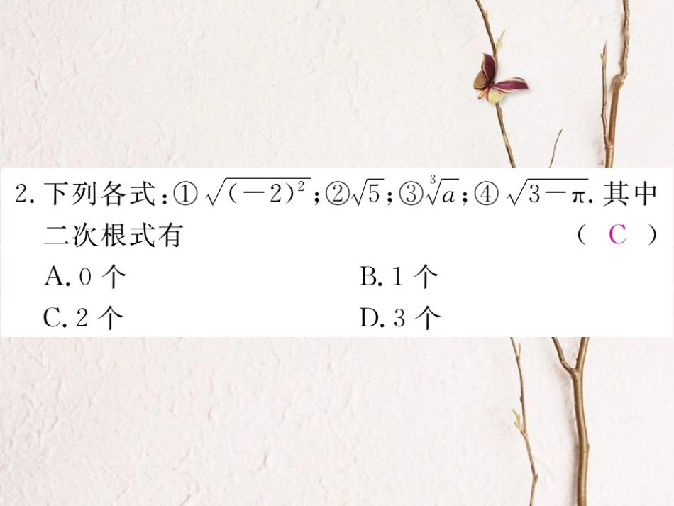 贵州省春八年级数学下册 16.1 二次根式 第1课时 二次根式的概念作业课件 （新版）新人教版(1)_第3页