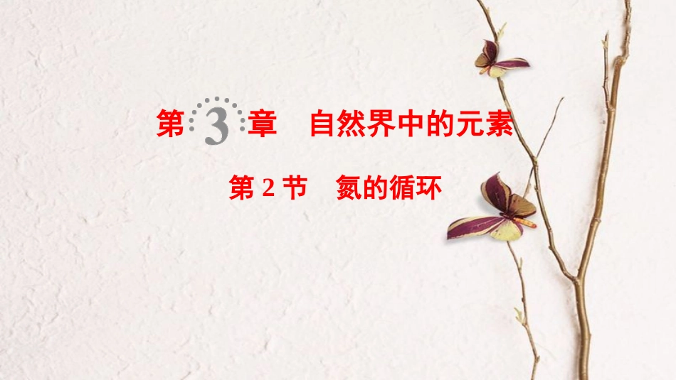2019年高考化学一轮复习 第3章 自然界中的元素 第2节 氮的循环课件 鲁科版_第1页