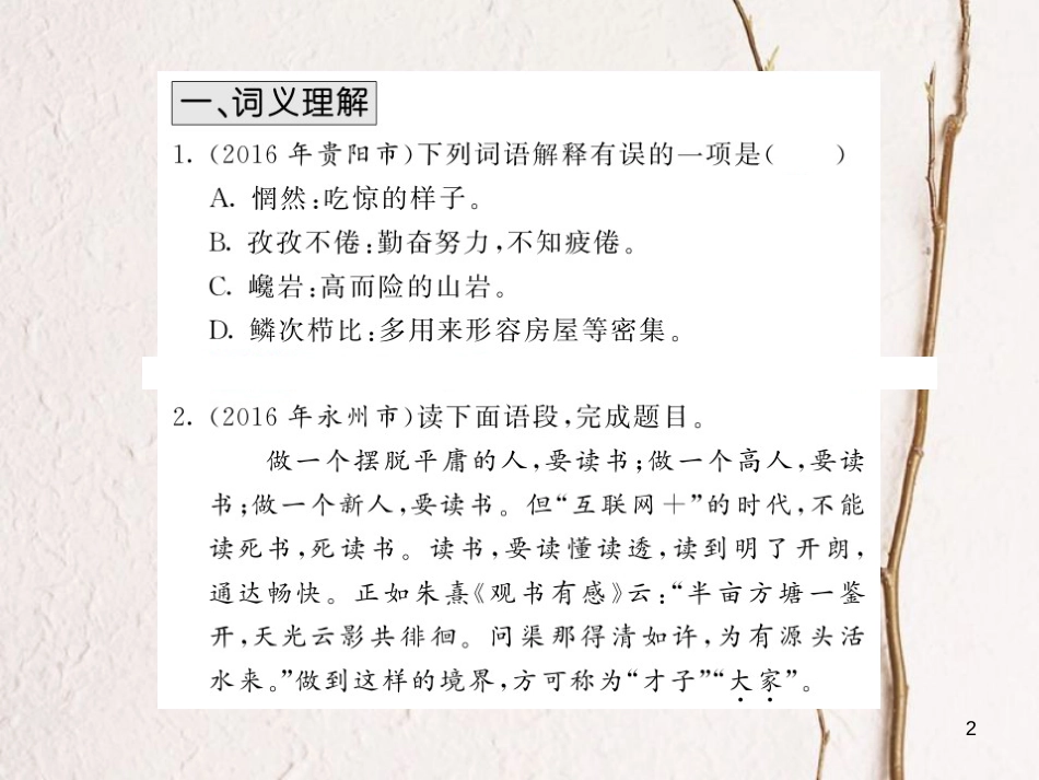 中考语文总复习 第2编 语文知识积累与运用 专题五 词语的理解与运用考点精练课件 语文版_第2页