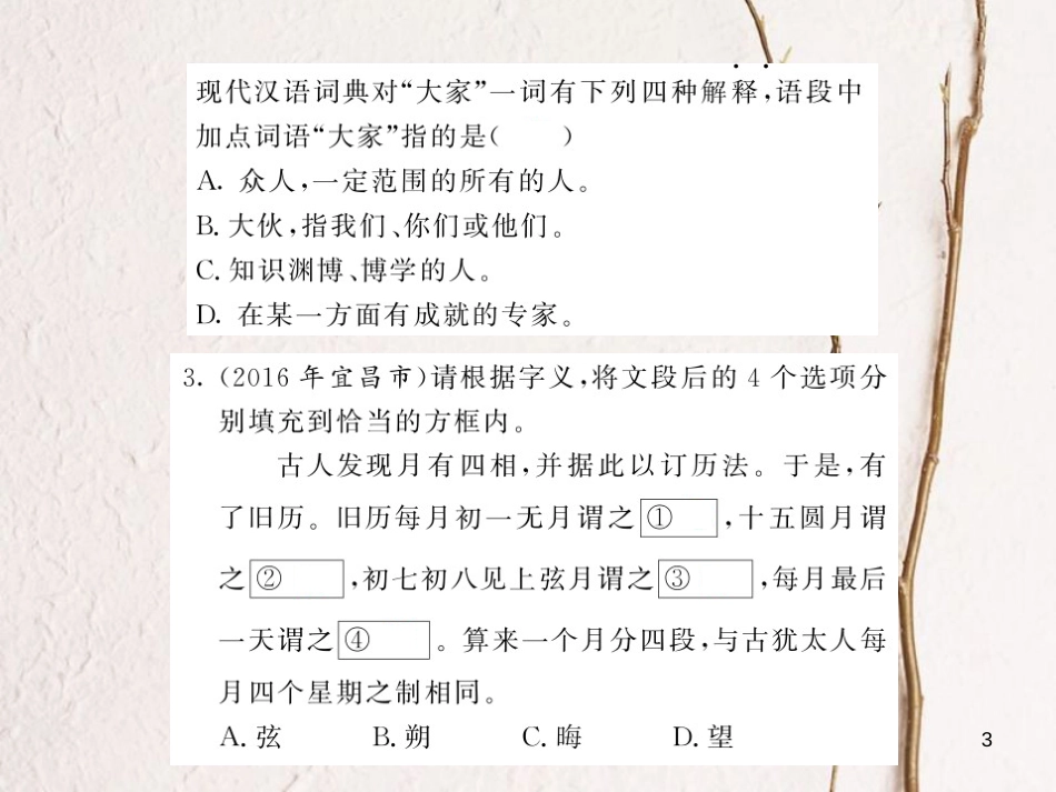 中考语文总复习 第2编 语文知识积累与运用 专题五 词语的理解与运用考点精练课件 语文版_第3页