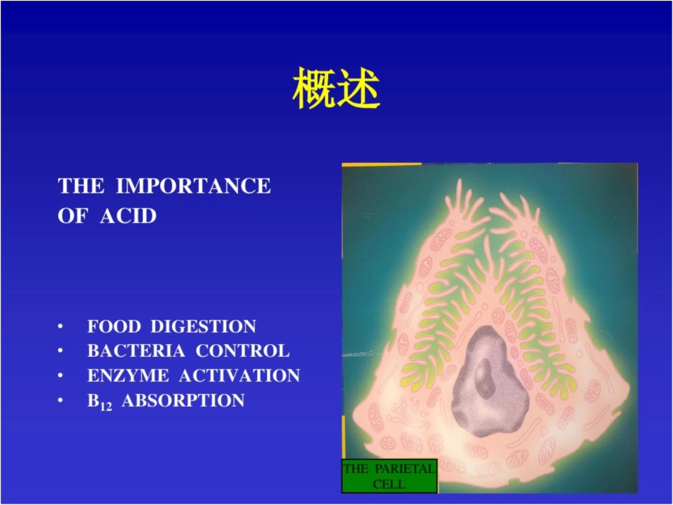 PPI质子泵抑制剂全解_第3页