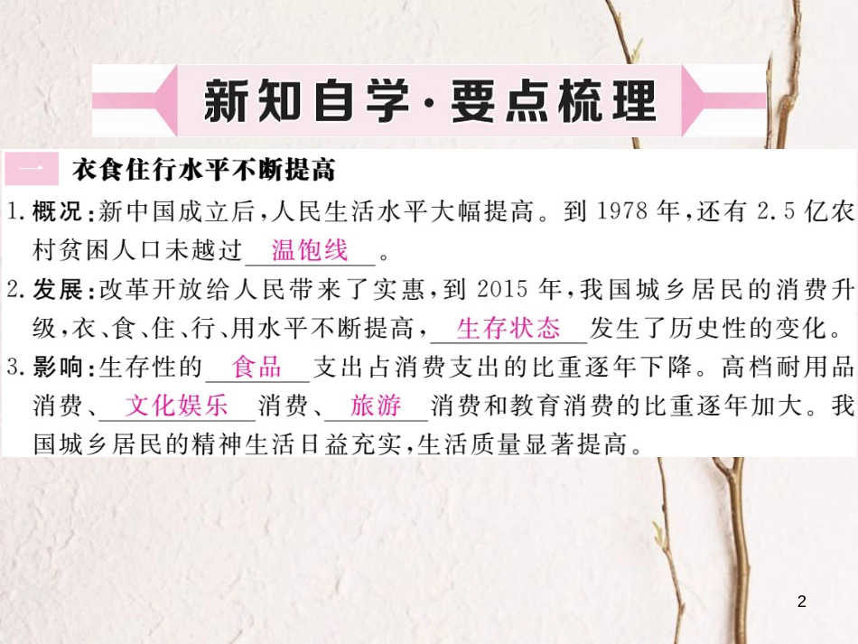 八年级历史下册 第三单元 社会主义现代化建设的新时期 第11课 城乡人民生存状态的沧桑巨变作业课件 川教版_第2页