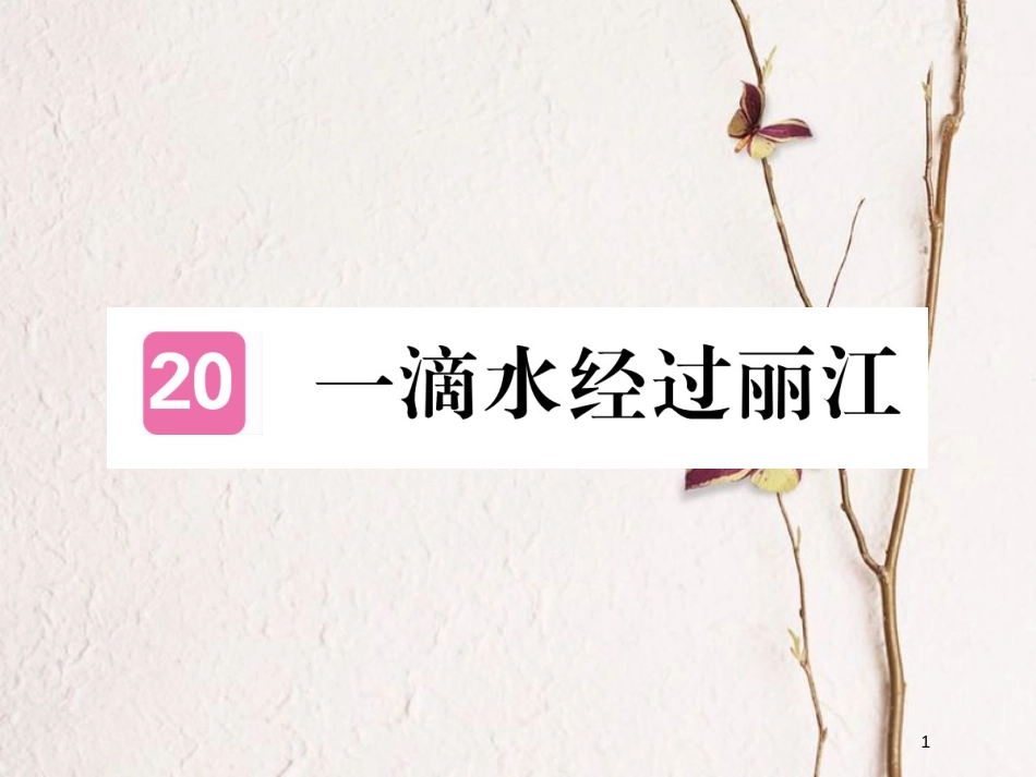 八年级语文下册 第五单元 20一滴水经过丽江课件 新人教版_第1页