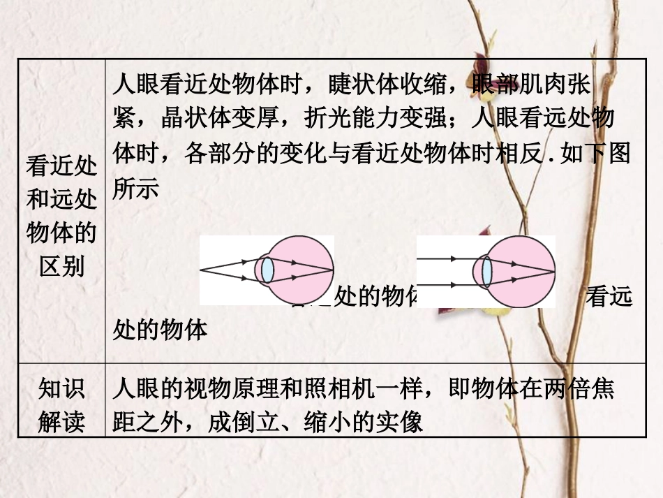 八年级物理上册 3.7 眼睛和光学仪器课件 （新版）粤教沪版_第3页