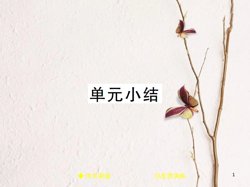 九年级化学下册 第八单元 海水中的化学单元小结习题课件 （新版）鲁教版_第1页