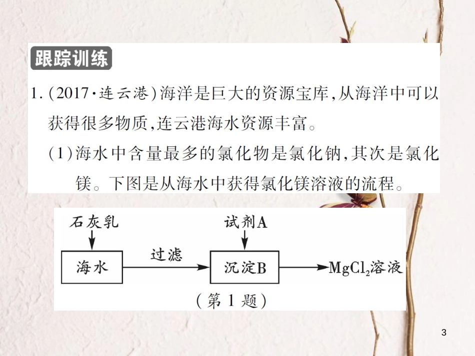 九年级化学下册 第八单元 海水中的化学单元小结习题课件 （新版）鲁教版_第3页