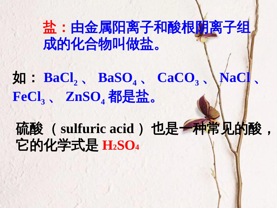 九年级科学上册 1.3 常见的酸（第2课时）课件 （新版）浙教版[共31页]_第3页