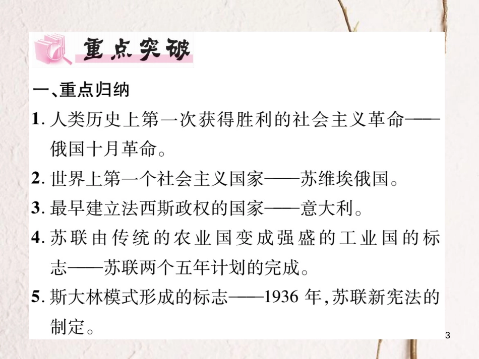 九年级历史下册 第一、二单元 专题复习作业课件 新人教版_第3页