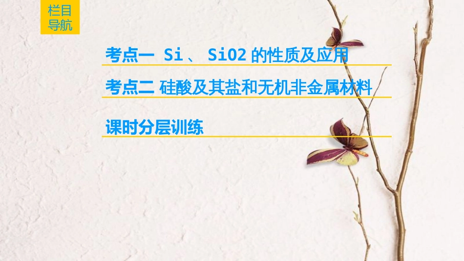 2019年高考化学一轮复习 第4章 材料家族中的元素 第1节 硅 无机非金属材料课件 鲁科版[共44页]_第2页